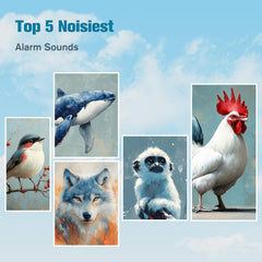 Extra Loud Alarm Clock for Heavy Sleeper Reacher C50